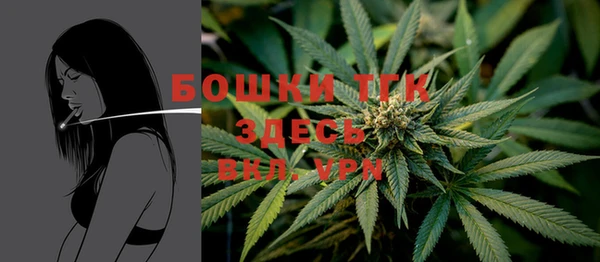 прущие крисы Новодвинск