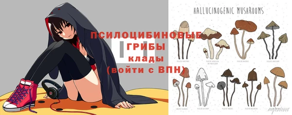 амфетамин Няндома