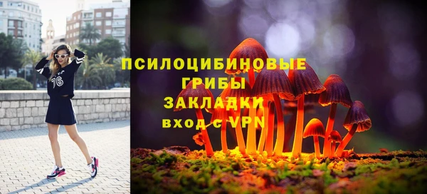 2c-b Нязепетровск