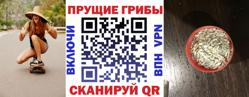 KRAKEN зеркало Камбарка Галлюциногенные грибы прущие грибы